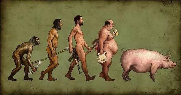 204213.jpg