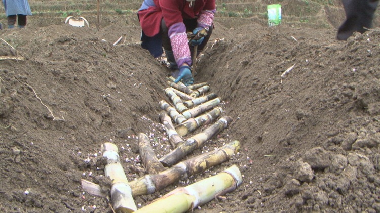 200930.jpg