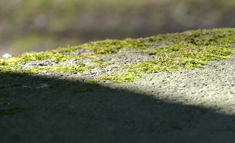 201258.jpg