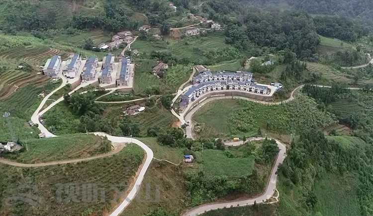 221521.jpg