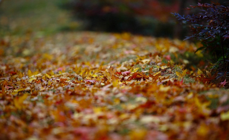 201259.jpg