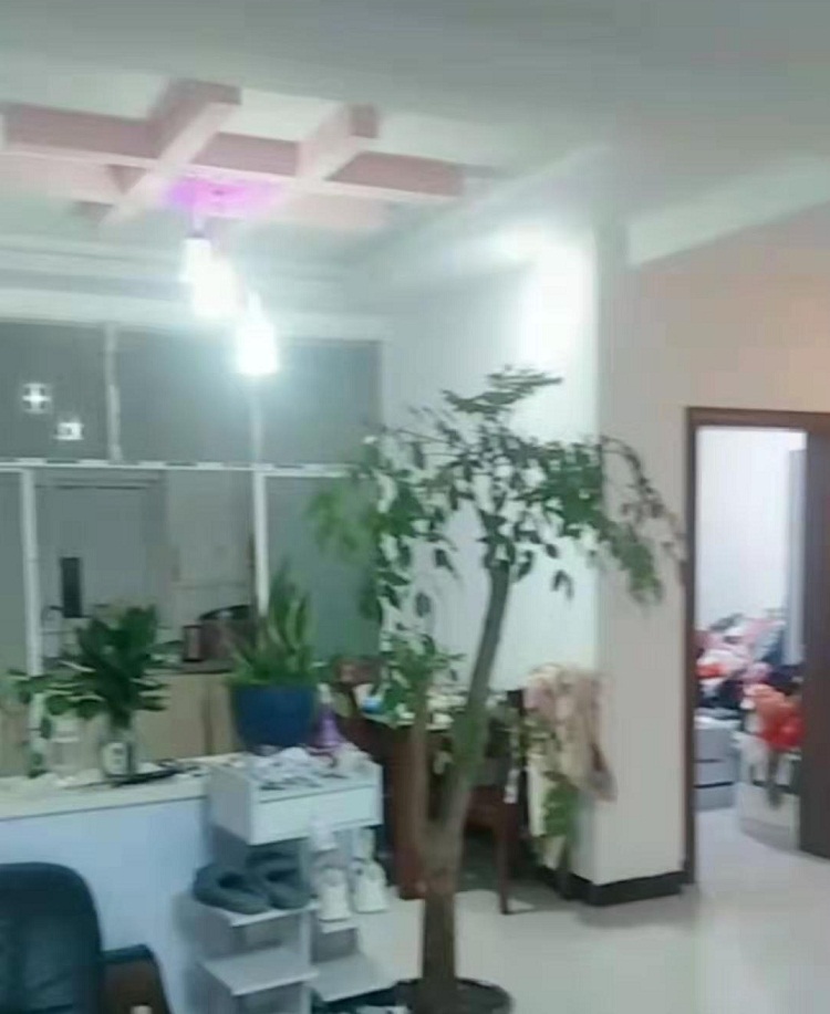 2000085.jpg
