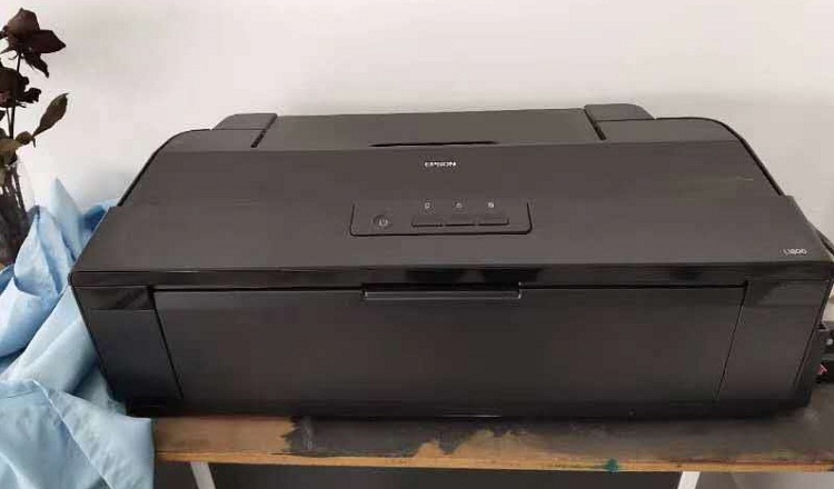204476.jpg