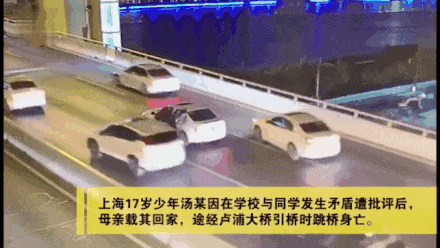 204243.gif