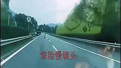 221563.gif