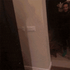 你真是很嚇人.gif