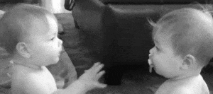 203366.gif