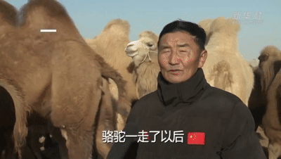 2101890.gif