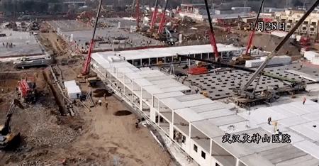 201923.gif