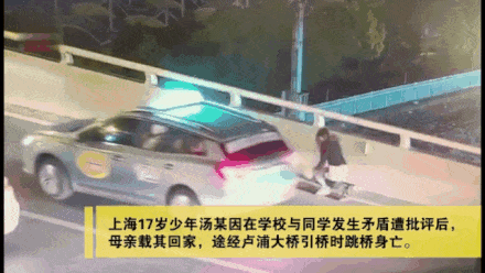 204244.gif