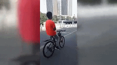 221562.gif