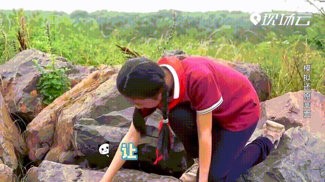 221478.gif