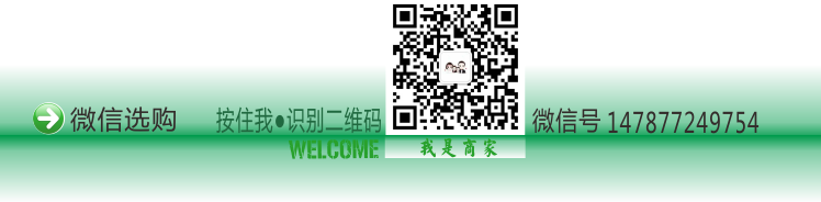 初见时装.png