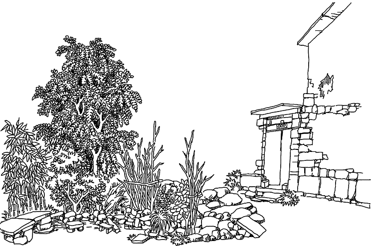 2000024.png