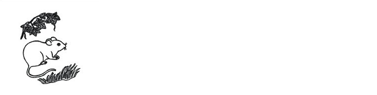 206055.png