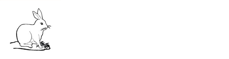 206058.png