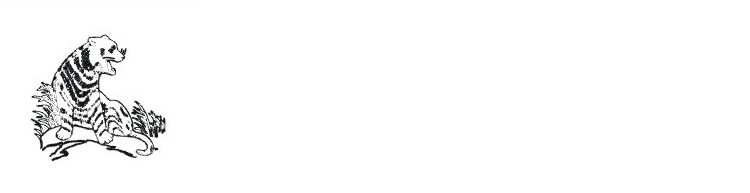 206057.png