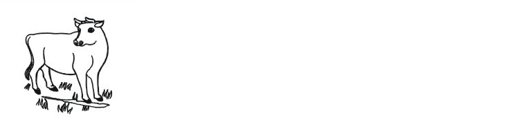 206056.png