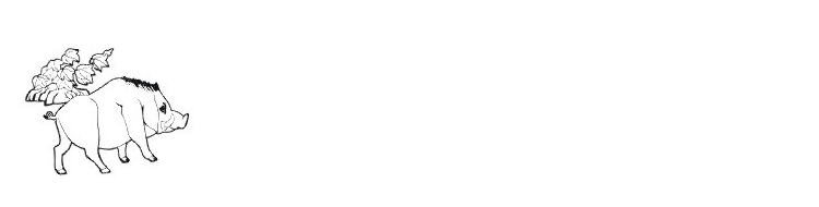 206066.png