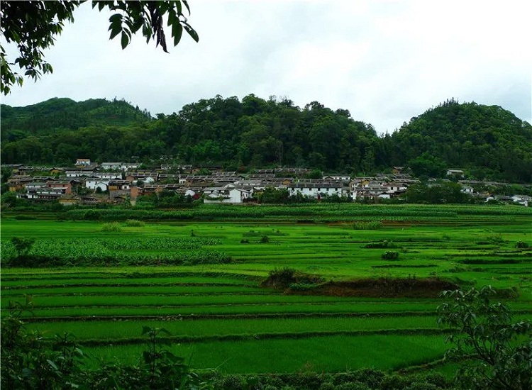 贺马关县仁和镇阿峨村上榜文山州旅游扶贫示范村