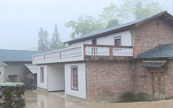 马关县夹寒箐镇牛马榔村牛起来了