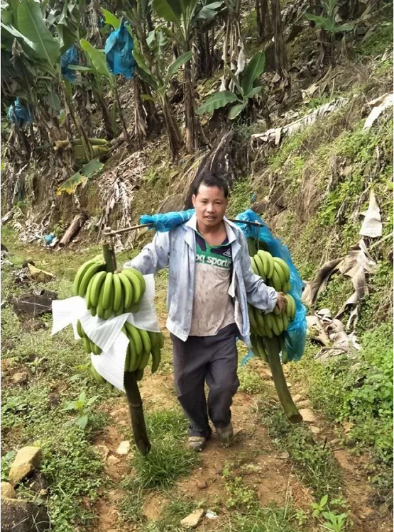 云南马关首富图片